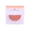 Presano mineralno rumenilo Blush Definition Envy